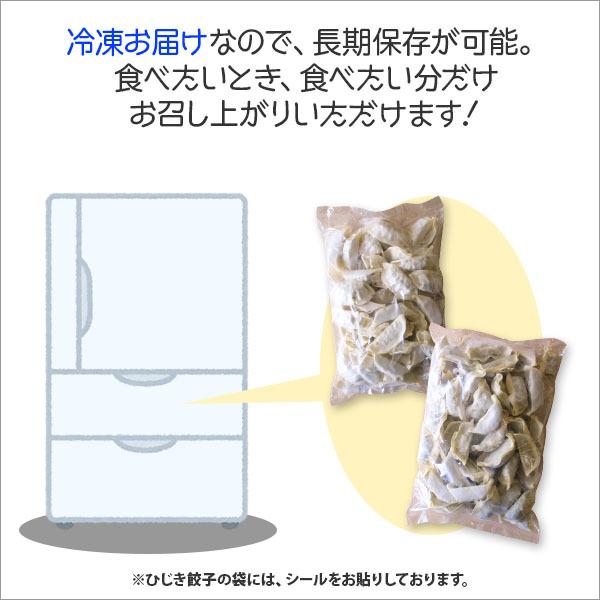 お歳暮 ギフト 業務用 冷凍餃子 冷凍ひじきギョーザ 各60個(120個) セット 餃子 冷凍 食品 国産 ぎょうざ お取り寄せ おつまみ