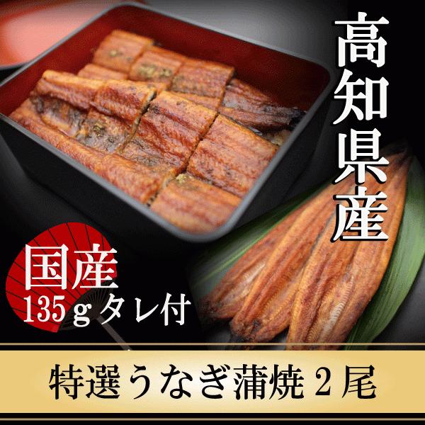 うなぎ 国産 蒲焼き 高知県産 特選うなぎ蒲焼 135g×2尾 鰻 蒲焼 ギフト プレゼント 贈り物 鰻 お取り寄せ 海鮮 贈答 お礼 お祝い お返し 贈り物 お歳暮