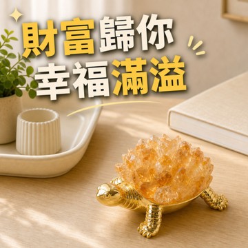 [窩在家] 旺運聚財黃水晶錢龜 🎂 生日禮物｜招財｜開運納福｜升遷升職｜喬遷｜開業開店｜同事｜獅子座｜七夕禮物｜父親節