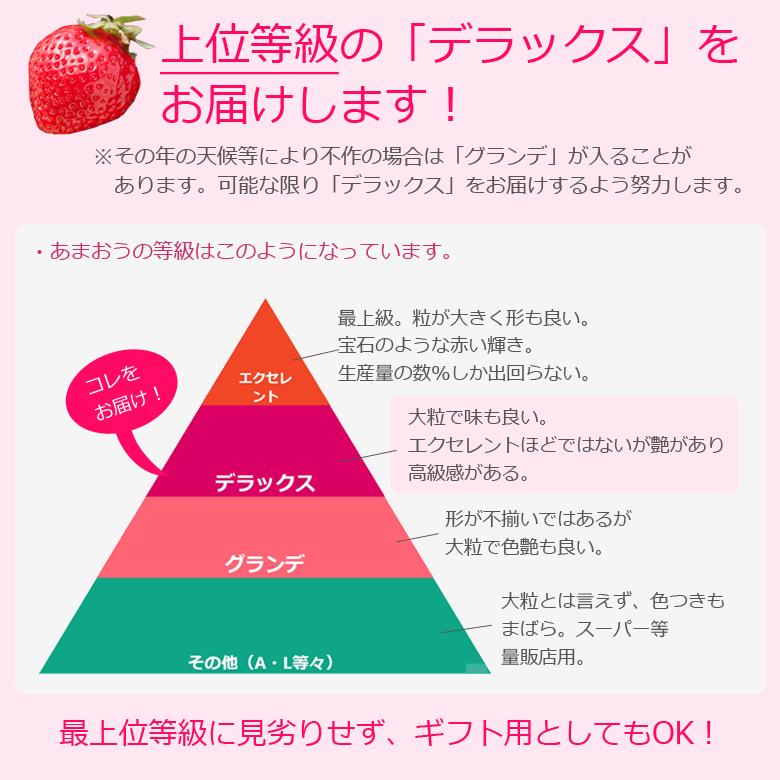 あまおう 4パック いちご 苺 DX デラックス お歳暮 ギフト 贈り物 贈答 自宅用 果物 冬 フルーツ