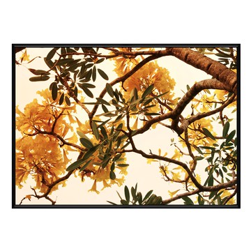 Boluo 菠蘿選畫所 金黃盛宴I BFEF3420B 40 x 30cm 畫框 藝術掛畫  黑色