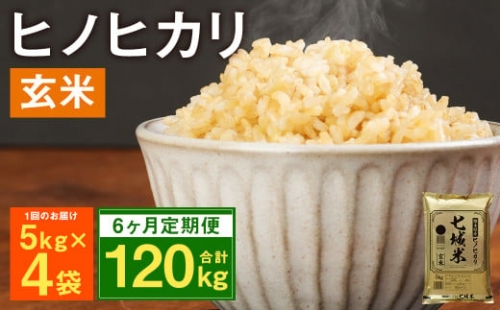 熊本県菊池産 ヒノヒカリ 玄米 計120kg（5kg×4袋×6回）米 お米 残留農薬ゼロ 低温貯蔵