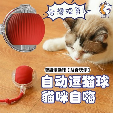 【隔日到貨】自動逗貓球 貓咪玩具球自嗨 帶繩寵物用品 貓玩具寵物玩具 跳跳球 貓咪玩具 自動帶繩逗貓球 寵物自嗨解悶