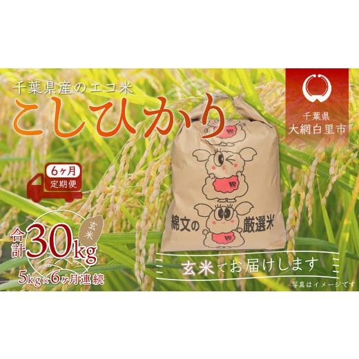 ふるさと納税 千葉県 大網白里市 ＜6ヶ月定期便＞千葉県産エコ米「コシヒカリ」玄米5kg×6ヶ月連続 計30kg ふるさと納税 玄米 定期便 5kg コシヒカリ エコ米 …