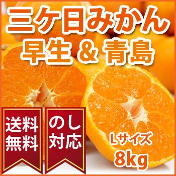 静岡県産みかん 「三ヶ日みかん 早生 青島」 Lサイズ8kg 光センサー選別品