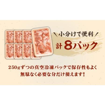 ふるさと納税 柔こうて、おいしゅうて！ 豚こま切れが、ぎょうさん2キロ 京都府京都市