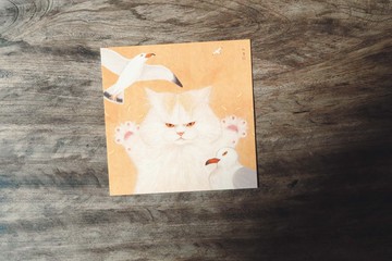 海鷗與櫻花 貓抱抱。韓國藝術家혜진貓咪明信片