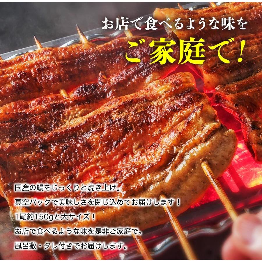 うなぎ 鰻 国産 うなぎ蒲焼き 2尾 約150g×2本 風呂敷包み 鹿児島県産 送料無料 冷凍便 プレゼント