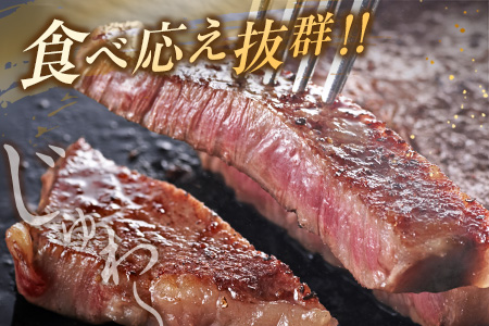 ≪数量限定≫黒毛和牛ロースステーキ(計800g)　肉　牛　牛肉　国産 DA14-23