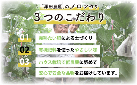 青肉マスクメロン（1.5kg以上 1玉入）味も見た目も抜群！アールスメロン    あわら 期間限定 果物 フルーツ 産地直送 青肉 人気 ギフト 贈答 ※2024年7月上旬より順次発送