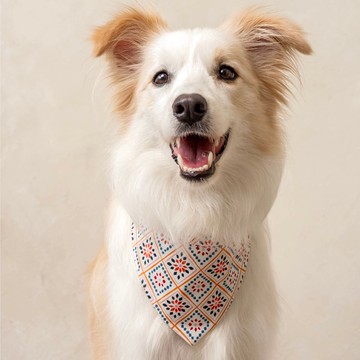 雙面綁帶領巾_綠野仙蹤_XS/S/M/L