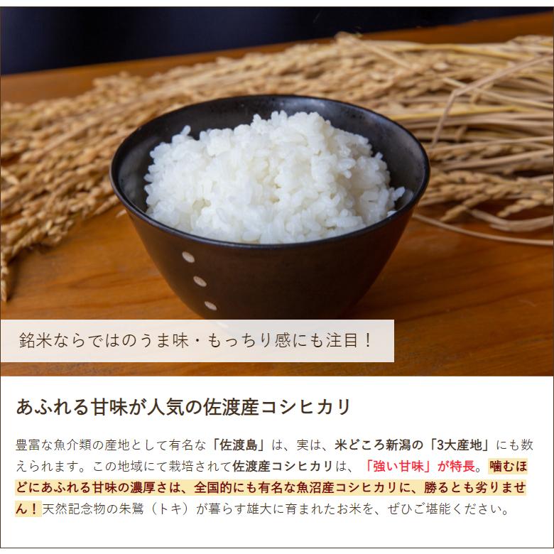 佐渡産 コシヒカリ 精米5kg 新潟農商 のし無料 送料無料