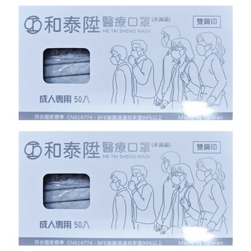 和泰陞 平面醫療口罩 成人  50片  2盒  銀河灰