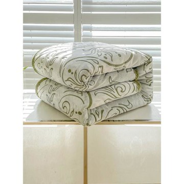 加厚雙層羊羔法蘭絨蓋毯辦公室休閑毯子冬季保暖單人珊瑚絨小毛毯