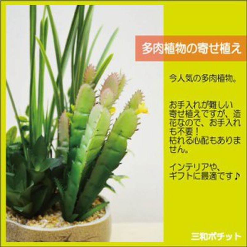 造花 フェイクグリーン 多肉植物 寄せ植え サボテン グリーンプラント インテリアグリーン Dタイプ ギフト プレゼント おしゃれ かわいい 通販 Lineポイント最大1 0 Get Lineショッピング