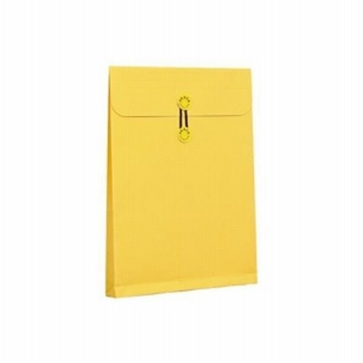 高春堂高春堂 カーデックス 134 マチ紐付 角2 5枚（直送品）