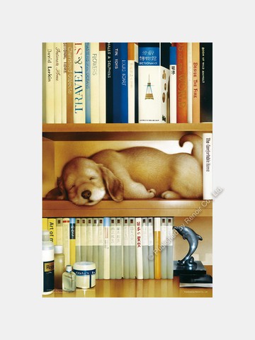 書香夢遊/300片/村松 誠