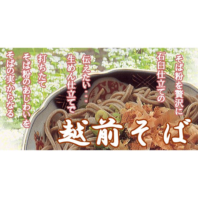 越前そば 2食 うどん 2食 計 4食分セット 生うどん 冷凍 麺つゆ付 冷凍生うどん 生 うどん 越前そば 越前蕎麦 生そば 越前 そば