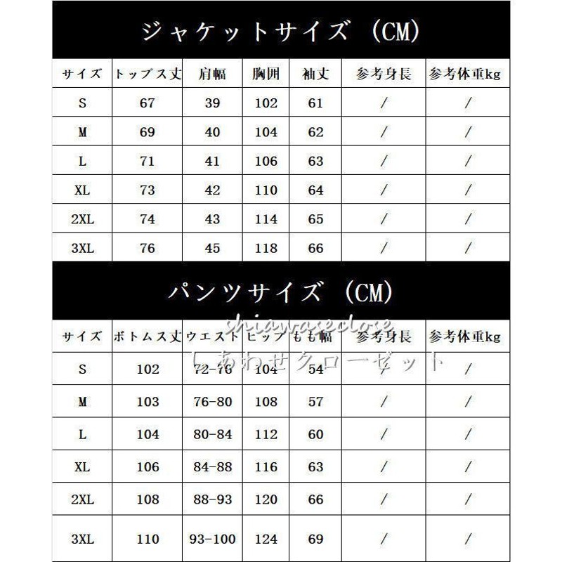 スノーボードウェア 上下 スキーウェア メンズ レディース スキー 上下