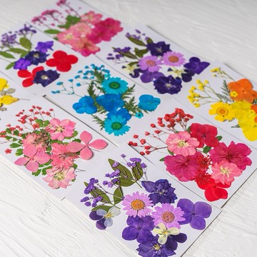 【12片繽紛系列】 花包組合 真花壓花 永生花 森林系 少女寫真 壁畫 DIY水晶滴膠 乾燥花 植物標本