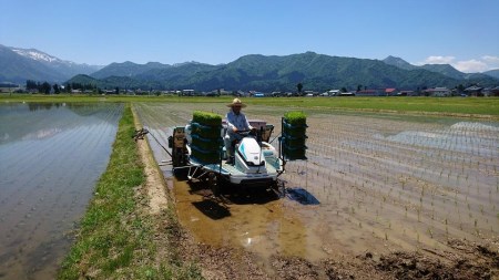 魚沼産しおざわコシヒカリ玄米１０kg