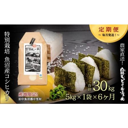 ふるさと納税 ≪令和5年産≫農家直送！魚沼産コシヒカリ特別栽培「白羽毛の米」精米(5kg×1袋)×6回 30.. 新潟県十日町市