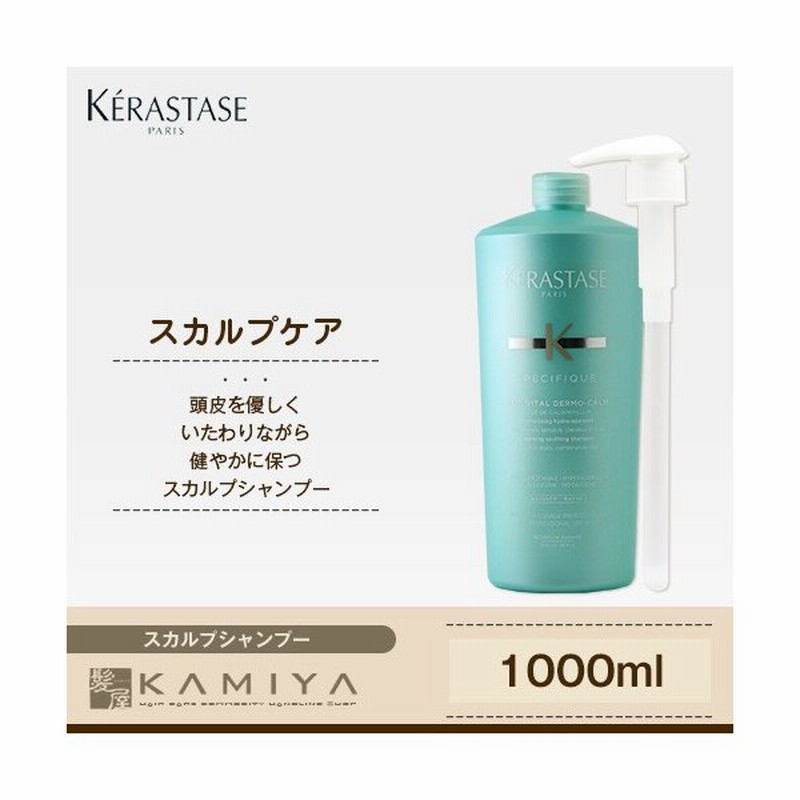 ケラスターゼ Sp バン センシドット 1000ml ポンプ付 業務用 スカルプシャンプー 通販 Lineポイント最大0 5 Get Lineショッピング