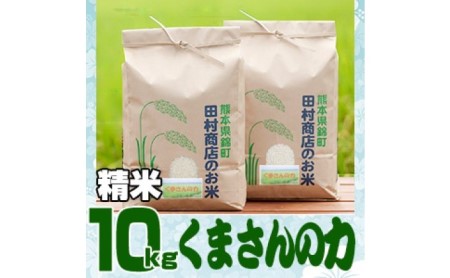 米 10kg 令和5年 くまさんの力 5kg×2 白米 こめ