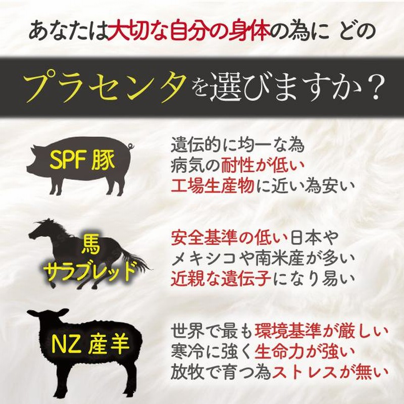【4セット】羊プラセンタ セルセラ プレミアム cell cellar 80粒 羊プラセンタ 公式店 高級サプリメント CELL CELLAR PREMIUM