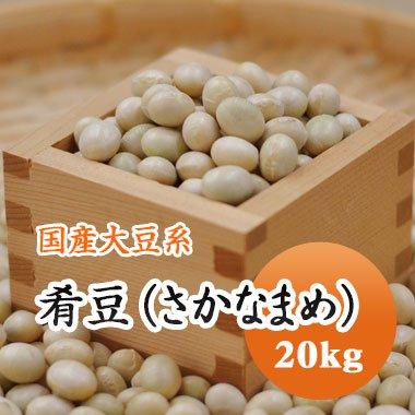 大豆 肴豆 さかな豆 宮城県産 20kg 令和4年産