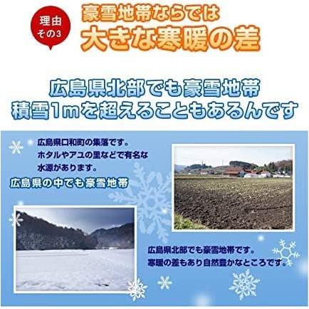 米穀店食の健康社 玄米 10kg (5kg×2) 広島県産 国産 ミルキークイーン ファーム永田