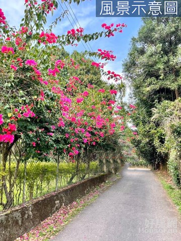 ✿獨家日月潭臨路農地喝喝茶觀光區農地_民宿露營可｜南投縣魚池鄉魚池街