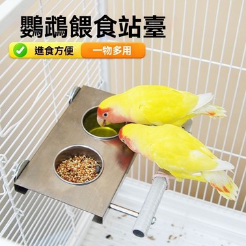 🔥臺灣出貨🔥鸚鵡不銹鋼鳥食杯 磨砂站桿 鳥食盒 鳥用帶架飼料盒 鳥籠配件 鳥用餵食器 鸚鵡餵食器 鳥用餵食器 鳥飼料