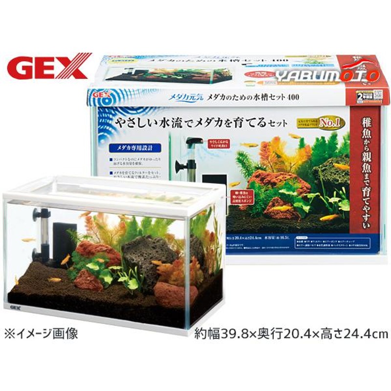 GEX メダカ元気 メダカのための水槽セット400 熱帯魚 観賞魚用品 水槽