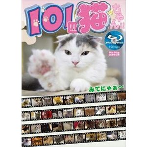 101匹猫ちゃん