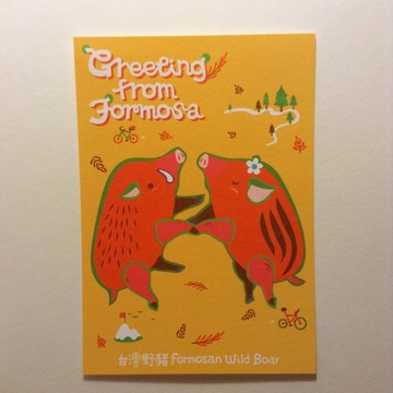 版印明信片：Greeting from Formosa台灣特有種生物明信片-台灣野豬