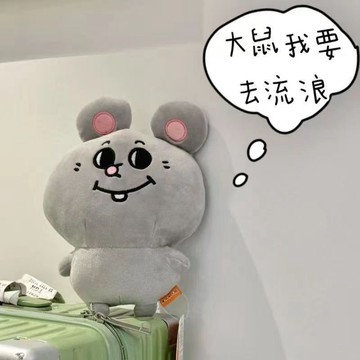 臺灣出貨🤩美嘰和大鼠玩偶經典大鼠毛絨周邊玩具可愛娃娃鑰匙扣公仔包包掛件