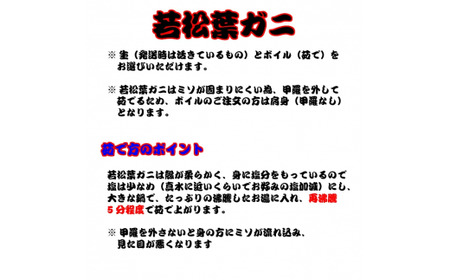 生若松葉ガニ 4枚（足1～2本なし含む）かに カニ 蟹 生 新鮮 かに カニ 蟹 松葉ガニ 松葉がに かに カニ 蟹 生