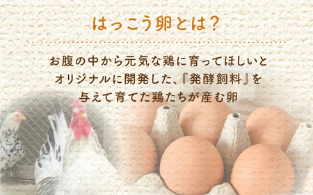 はっこう卵　3種食べ比べMS~Lサイズ 55個 破卵保障5個 卵 種類 サイズ おまかせ 白卵 30個 赤卵 20個 青卵 10個 アローカナ たまご タマゴ 食比べ 生卵 味卵 煮卵 目玉焼き ゆで卵 キッシュ 沖縄 糸満市 上原養鶏場 10000円