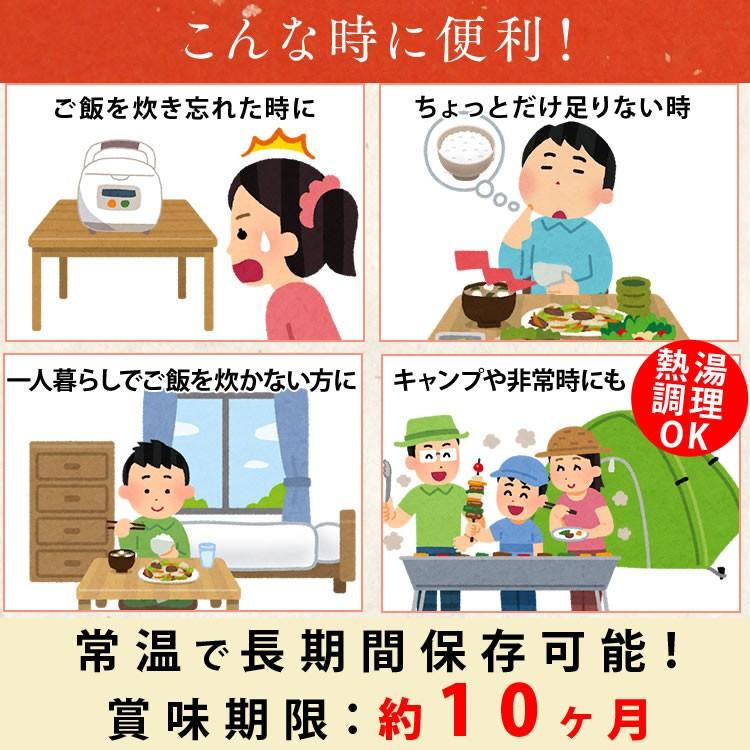 レトルトご飯 パックご飯 ごはん パック ごはんパック レンジ 非常食 150g×24パック アイリスオーヤマ