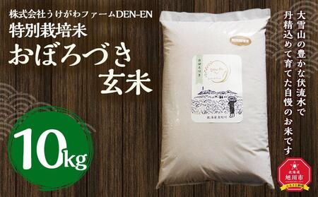 特別栽培米　おぼろづき玄米　10kg　令和5年産　新米