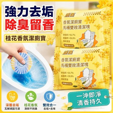 ⚡臺灣倉出⚡現貨⭐桂花香氛潔厠靈馬桶清潔劑藍泡泡潔厠寶厠所除臭清香去味強效除垢 清潔馬桶 廁所除臭 馬桶清潔劑 除臭劑