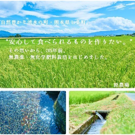 もち麦 有機JAS 国産 無農薬 原さんのもち麦300ｇ 完全無農薬 化学肥料不使用のもち麦 原農場 100％熊本県産 無化学肥料 有機栽培 送料無料 国産メール便