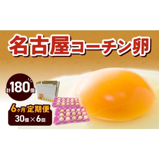 ふるさと納税 愛知県 小牧市 名古屋コーチン卵(30個入り)×6回（計180個）