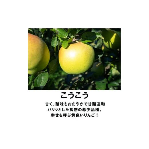 ふるさと納税 秋田県 鹿角市 《先行予約》秋田県鹿角産 りんご「あいかの香りこうこう」家庭用 5kg（12〜20玉）●2023年12月上旬発送…