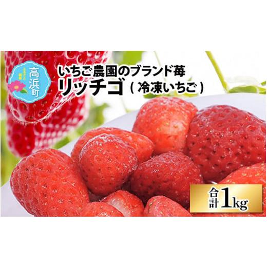 ふるさと納税 福井県 高浜町 いちご農園のブランド苺(冷凍いちご×1kg)|