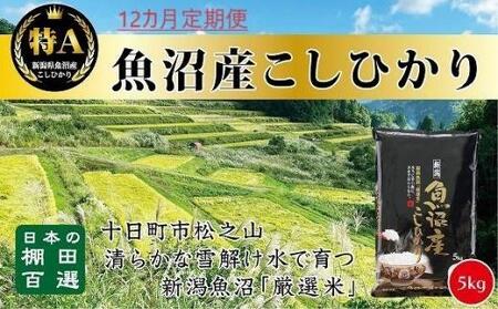 「12カ月定期便」日本棚田百選のお米　天空の里・魚沼産こしひかり　５ｋｇ×１２回