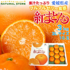 [予約 12月1日-12月30日の納品] 紅まどんな 3kg 3L サイズ 愛媛県産 化粧箱 お年賀 御年賀