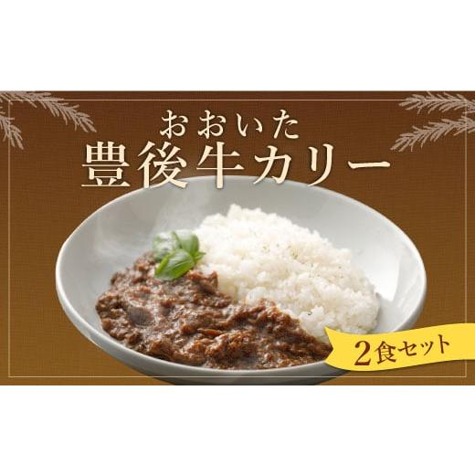 ふるさと納税 大分県 豊後大野市 013-306 おおいた 豊後牛 カリー 2食 セット 計400g カレー レトルト