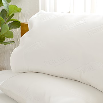 A-nice 雅妮詩 天絲保潔枕墊 信封式枕套 輕盈柔軟舒適 3M吸濕排汗科技 Advanta防水透氣  白色  75 x 45cm  1個